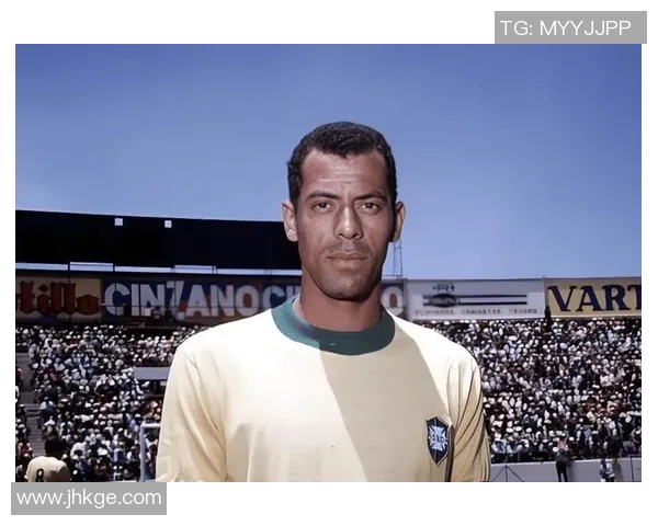 消失在绿茵场的传奇足球明星与他不为人知的秘密人生 消失在绿茵场的传奇足球明星与他不为人知的秘密人生